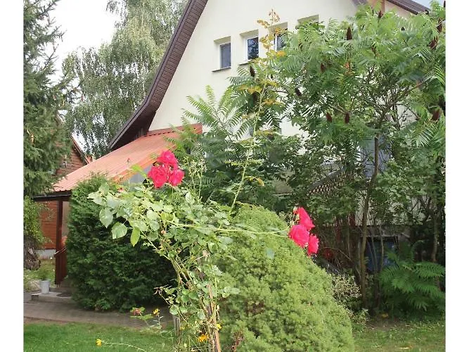 Apartament Lesny