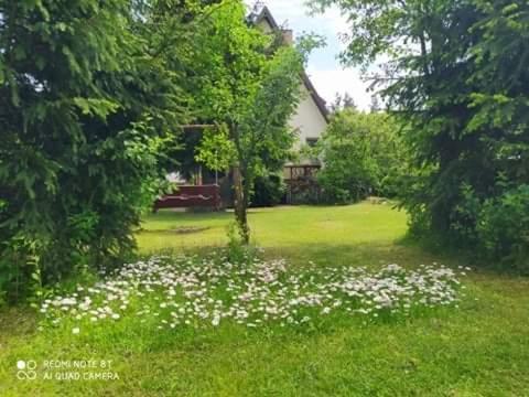 Lesny * Suprasl